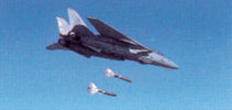 bombas.jpg (10092 bytes)
