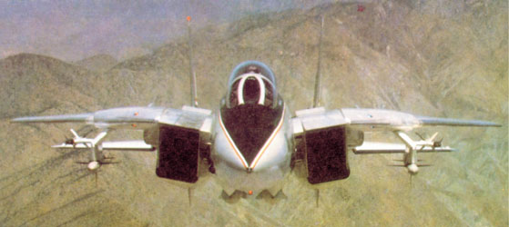 front.jpg (39383 bytes)