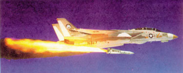 phoenix.jpg (19682 bytes)